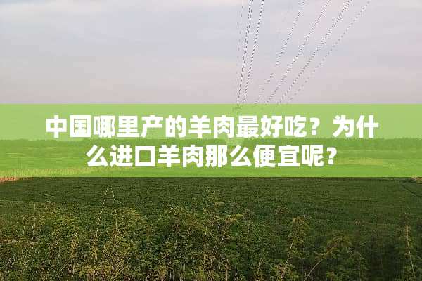 中国哪里产的羊肉最好吃？为什么进口羊肉那么便宜呢？