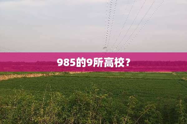 985的9所高校？