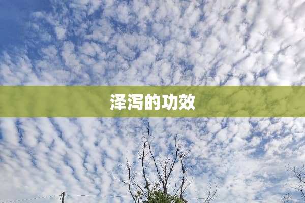 泽泻的功效