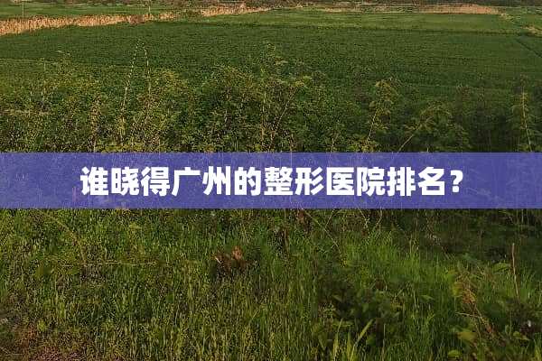 谁晓得广州的整形医院排名？