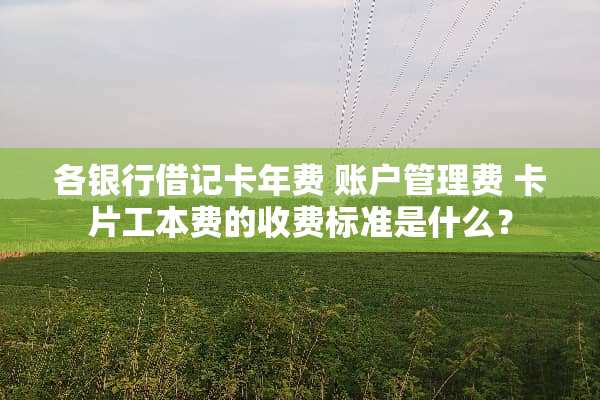各银行***年费 账户管理费 卡片工本费的收费标准是什么？