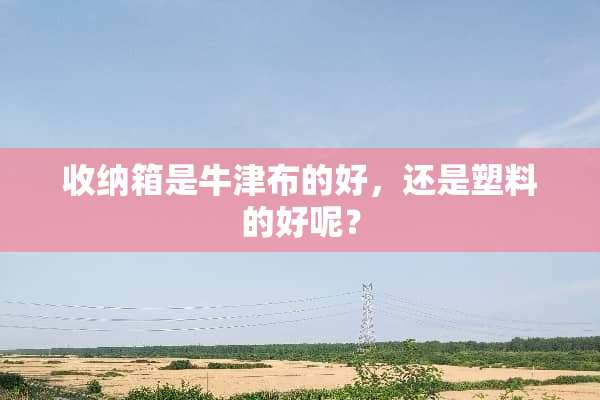收纳箱是牛津布的好，还是塑料的好呢？