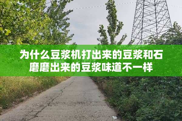 为什么豆浆机打出来的豆浆和石磨磨出来的豆浆味道不一样
