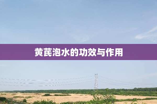 黄芪泡水的功效与作用