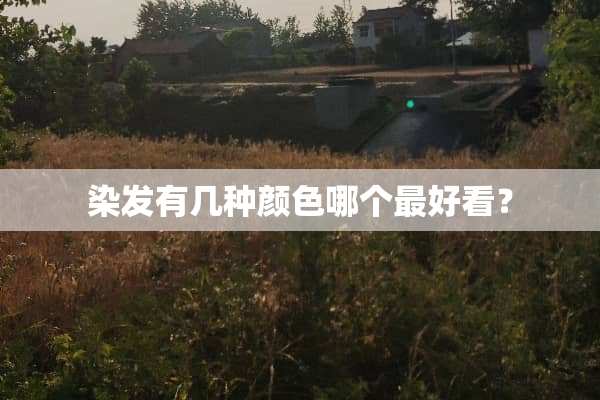 染发有几种颜色哪个最好看？
