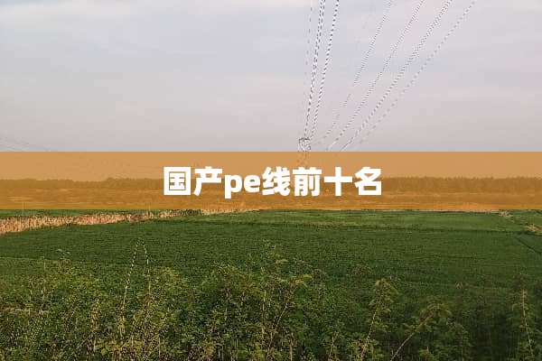 国产pe线前十名