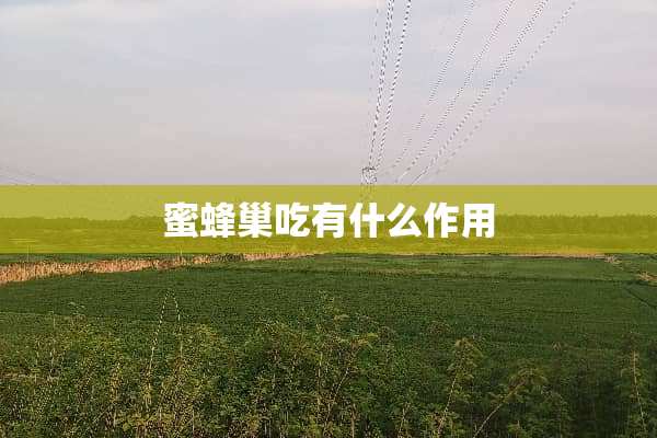 蜜蜂巢吃有什么作用