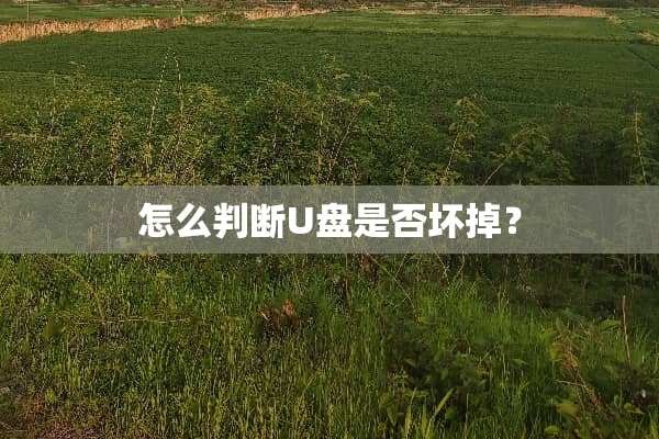 怎么判断U盘是否坏掉？