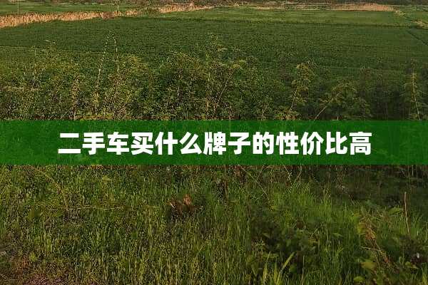 二手车买什么牌子的性价比高