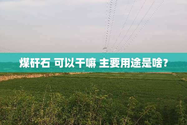 煤矸石 可以干嘛 主要用途是啥？