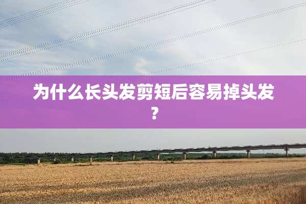 为什么长头发剪短后容易掉头发？