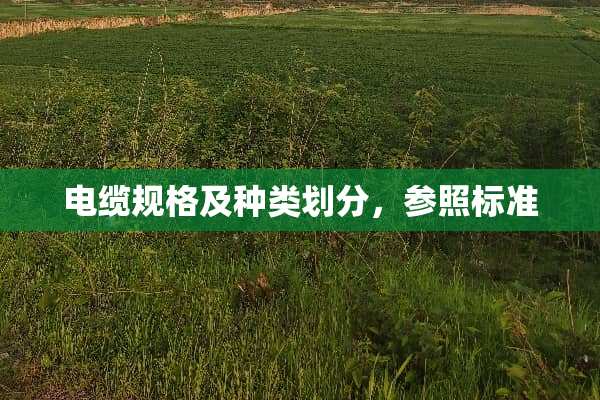 电缆规格及种类划分，参照标准