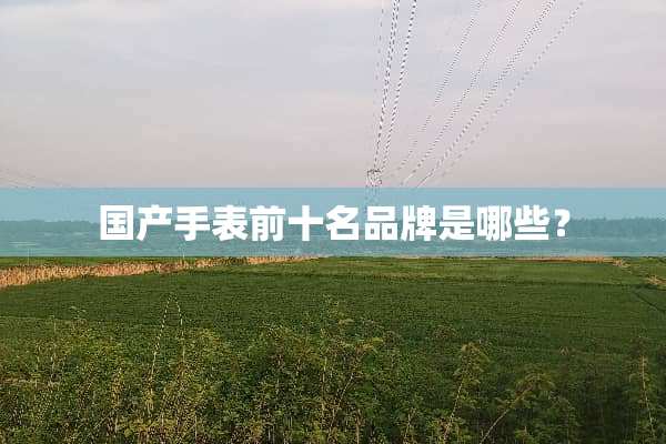 国产手表前十名品牌是哪些？