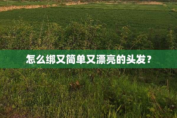 怎么绑又简单又漂亮的头发？