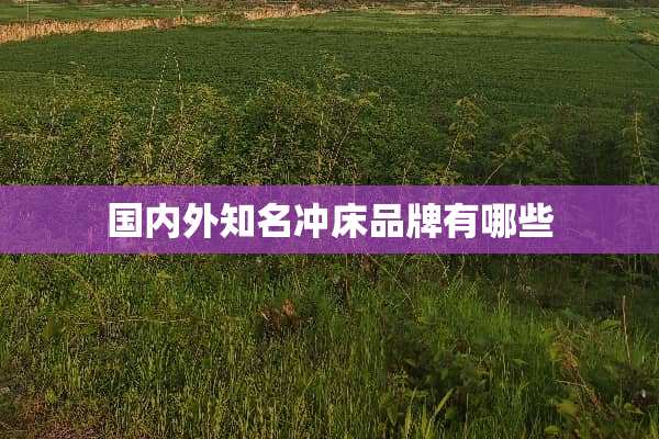 国内外知名冲床品牌有哪些