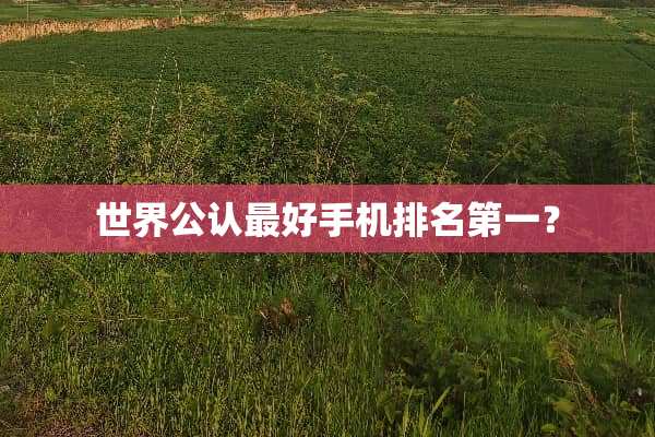世界公认最好手机排名第一？