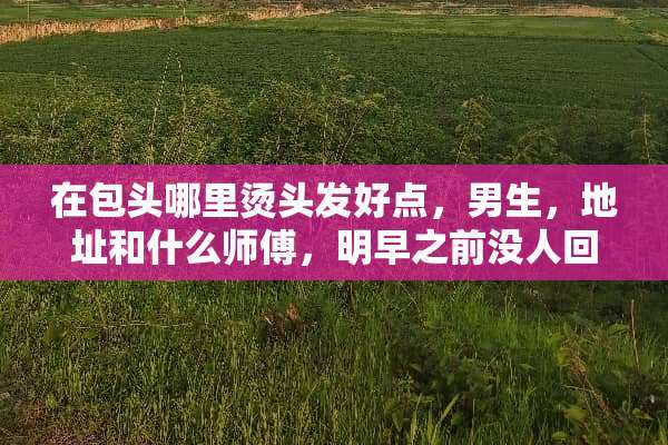 在包头哪里烫头发好点，男生，地址和什么师傅，明早之前没人回答就去万达的美爵士了？