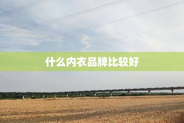 什么**品牌比较好