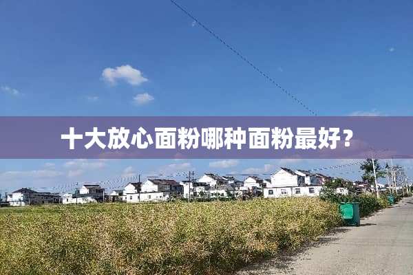 十大放心面粉哪种面粉最好？
