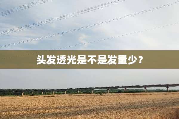 头发透光是不是发量少？