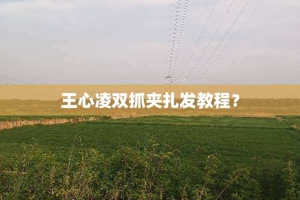 王心凌双抓夹扎发教程？