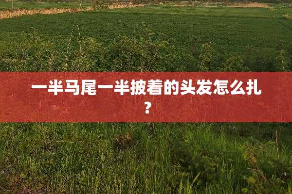 一半马尾一半披着的头发怎么扎？