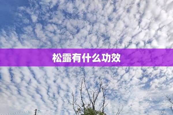 松露有什么功效
