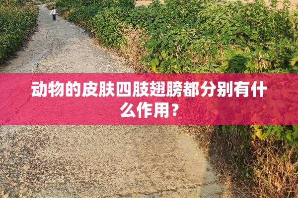 动物的皮肤四肢翅膀都分别有什么作用？