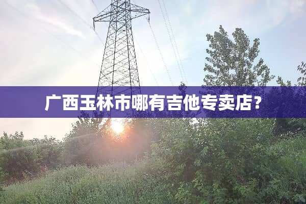 广西玉林市哪有吉他专卖店？