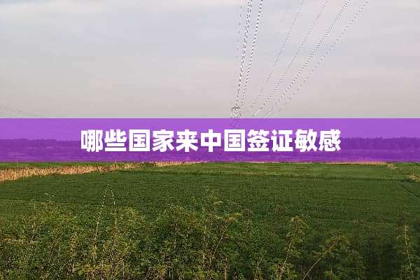 哪些国家来中国签证敏感
