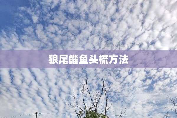 狼尾鲻鱼头梳方法