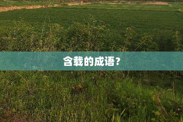 含载的成语？