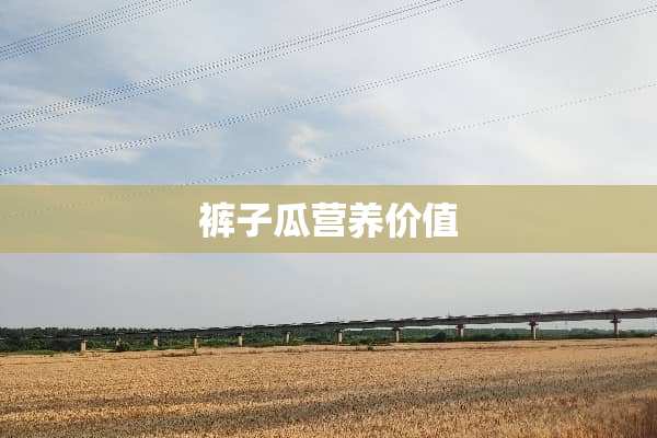 裤子瓜营养价值