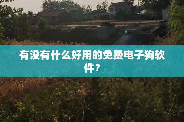 有没有什么好用的免费***软件？