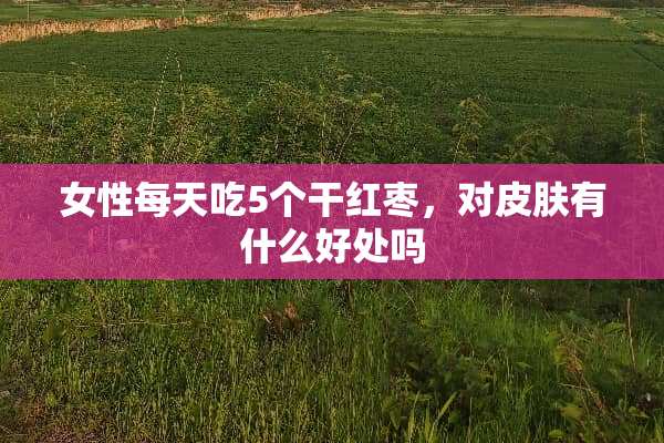 女性每天吃5个干红枣，对皮肤有什么好处吗
