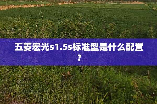 五菱宏光s1.5s标准型是什么配置？