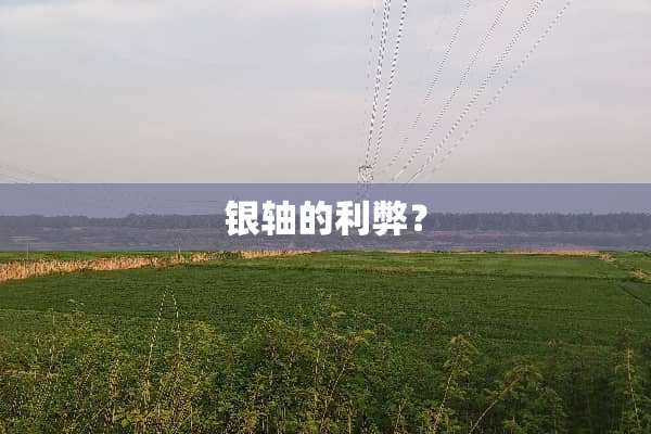 银轴的利弊？