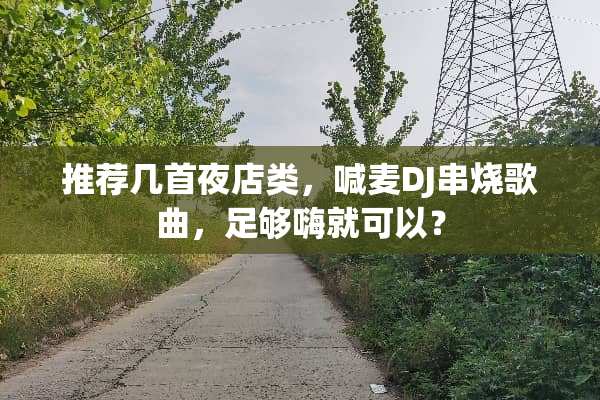 推荐几首夜店类，喊麦DJ串烧歌曲，足够嗨就可以？