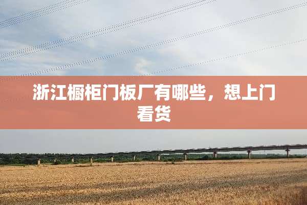 浙江橱柜门板厂有哪些，想上门看货