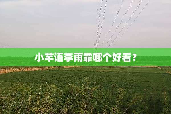 小芊语李雨霏哪个好看？