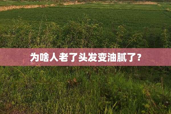 为啥人老了头发变油腻了？