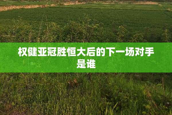 权健亚冠胜恒大后的下一场对手是谁