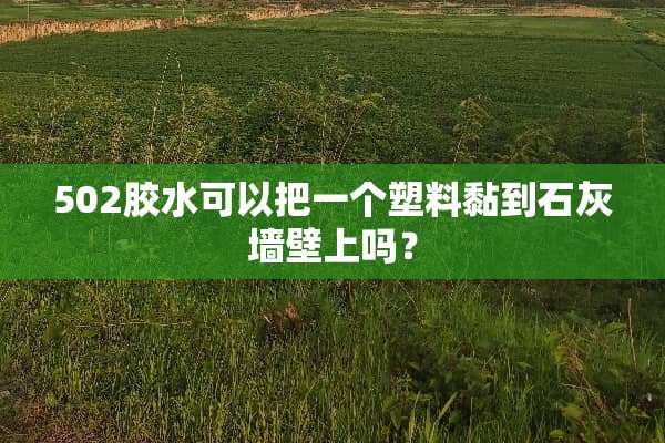 502胶水可以把一个塑料黏到石灰墙壁上吗？
