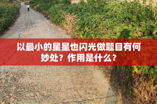 以最小的星星也闪光做题目有何妙处？作用是什么？