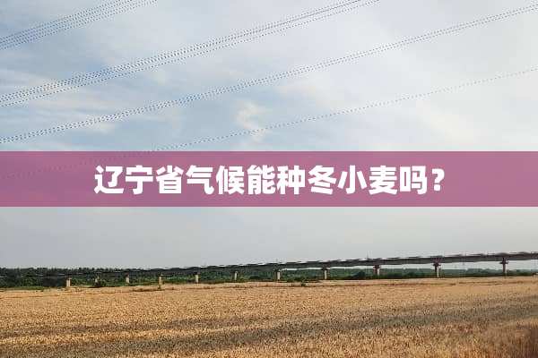 辽宁省气候能种冬小麦吗？