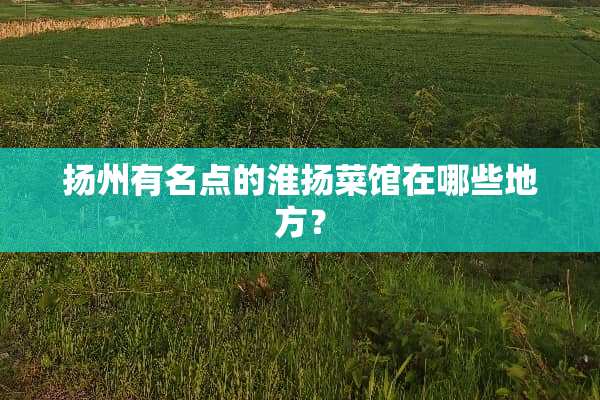 扬州有名点的淮扬菜馆在哪些地方？