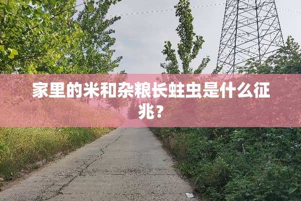 家里的米和杂粮长蛀虫是什么征兆？