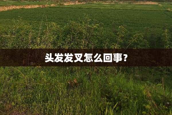 头发发叉怎么回事？