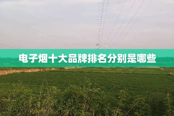 电子烟十大品牌排名分别是哪些
