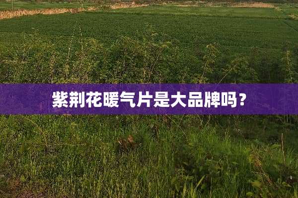 紫荆花暖气片是大品牌吗？